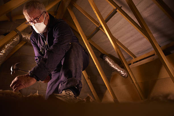 Best Eco-Friendly Insulation in Barnum Island, NY